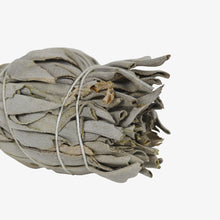 Load image into Gallery viewer, White Sage Bundle
