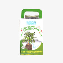 Load image into Gallery viewer, Self-Watering Planter