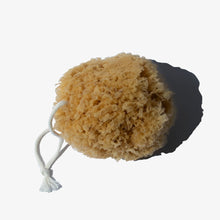 Load image into Gallery viewer, Natural Bath Sponge
