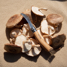 Load image into Gallery viewer, Folding Mushroom Knife With Brush
