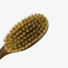 Load image into Gallery viewer, Natural Cat Brush
