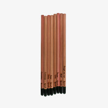 Load image into Gallery viewer, Plantable Colored Pencils 8 pack - 2 graphite
