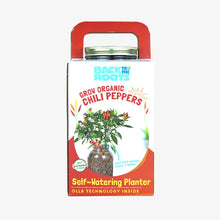 Load image into Gallery viewer, Self-Watering Planter
